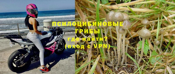 дмт Алексеевка