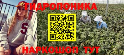 трава Керчь